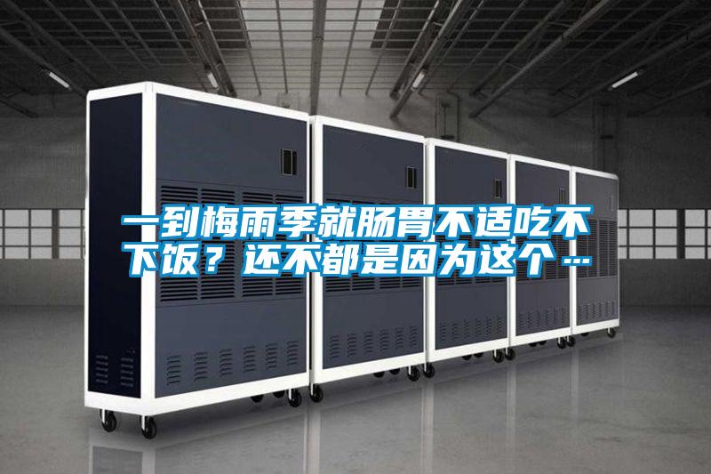 一到梅雨季就腸胃不適吃不下飯?還不都是因為這個…
