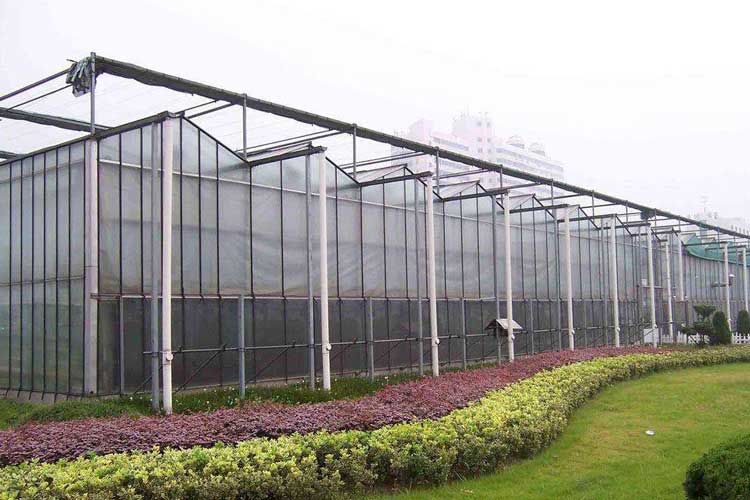 1530598124631850.jpg 溫室.jpg