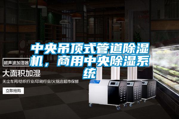 中央吊頂式管道除濕機(jī),商用中央除濕系統(tǒng)