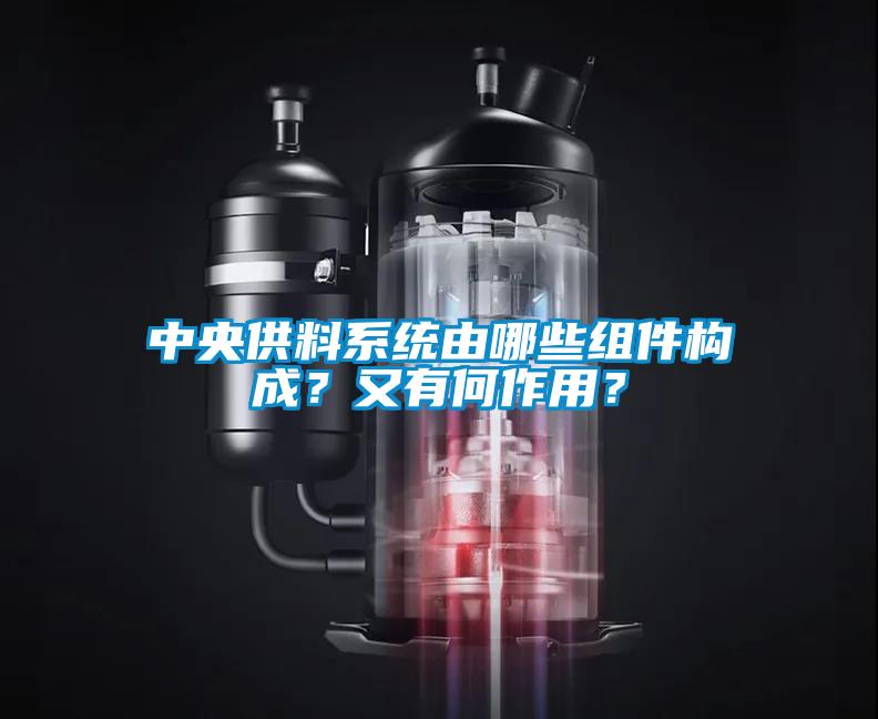 中央供料系統由哪些組件構成?又有何作用?