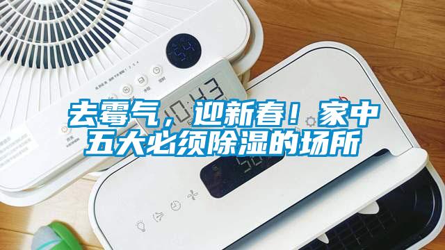 去霉氣,迎新春!家中五大必須除濕的場(chǎng)所