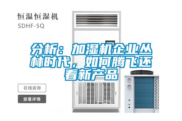 分析：加濕機企業叢林時代，如何騰飛還看新產品