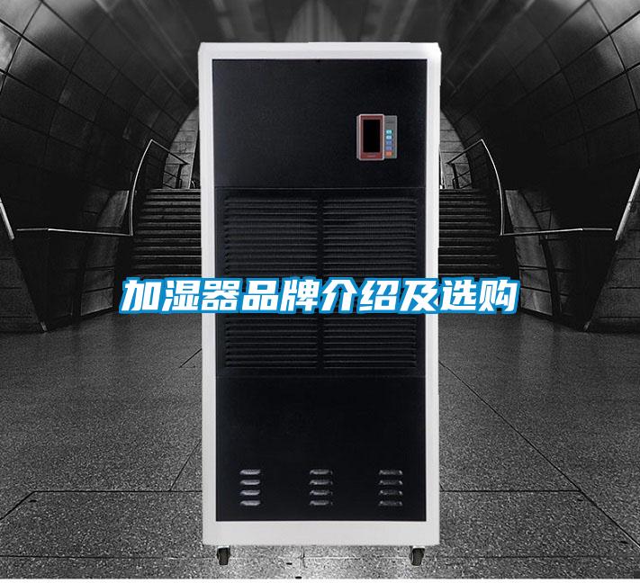 加濕器品牌介紹及選購(gòu)