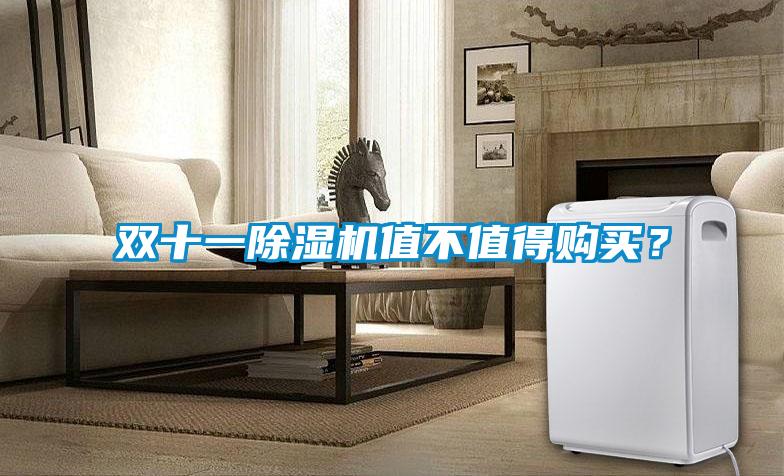 雙十一除濕機值不值得購買？