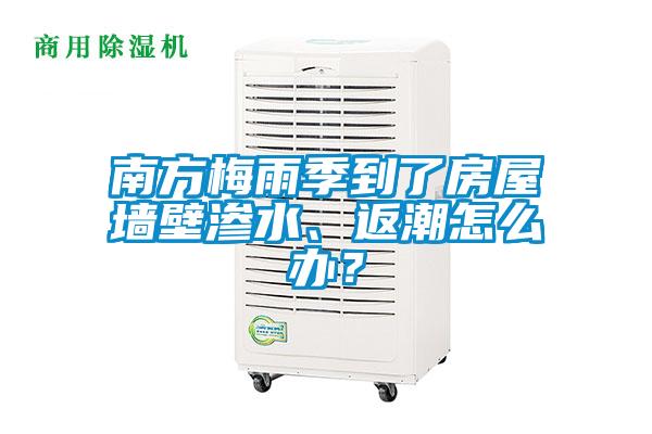 南方梅雨季到了房屋墻壁滲水、返潮怎么辦？