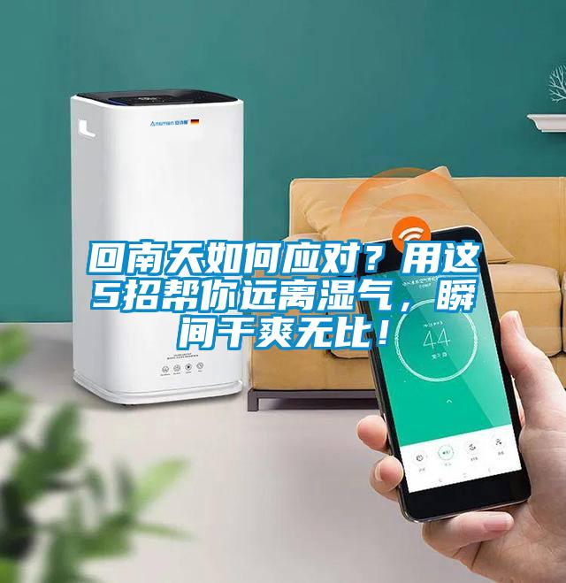 回南天如何應對?用這5招幫你遠離濕氣,瞬間干爽無比!