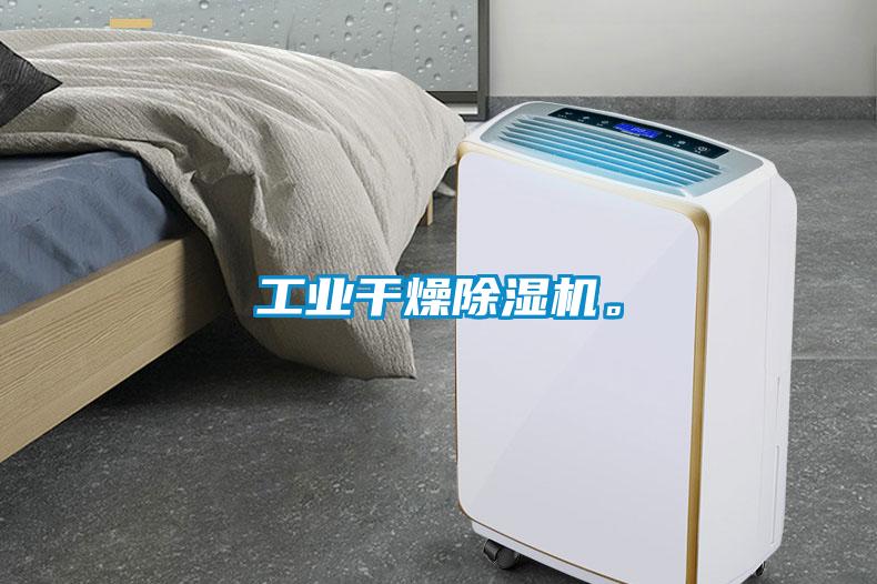工業(yè)干燥除濕機(jī)。