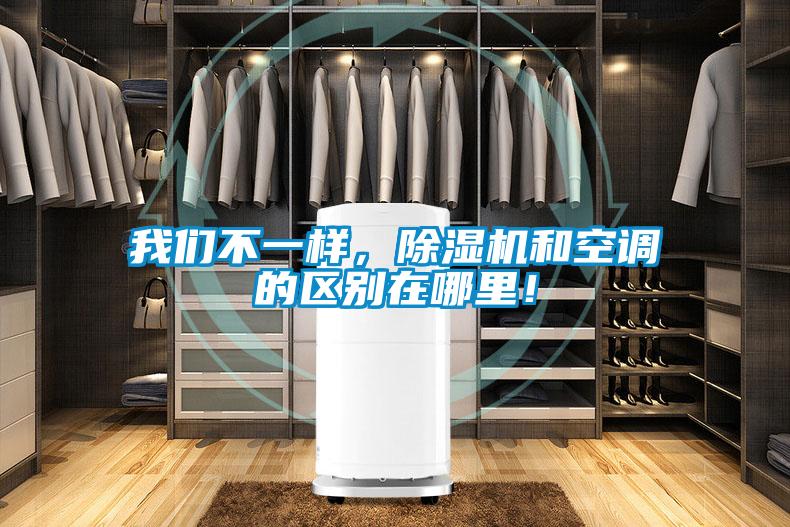 我們不一樣，除濕機和空調的區別在哪里！