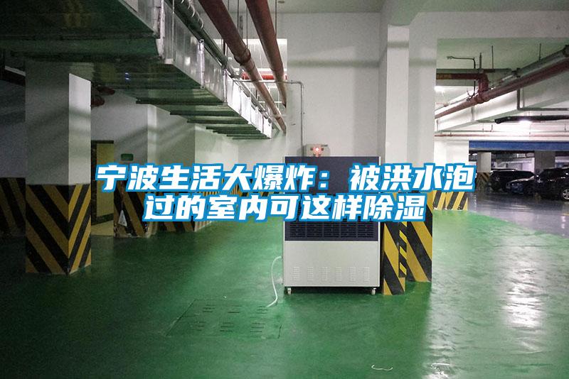 寧波生活大爆炸:被洪水泡過的室內可這樣除濕