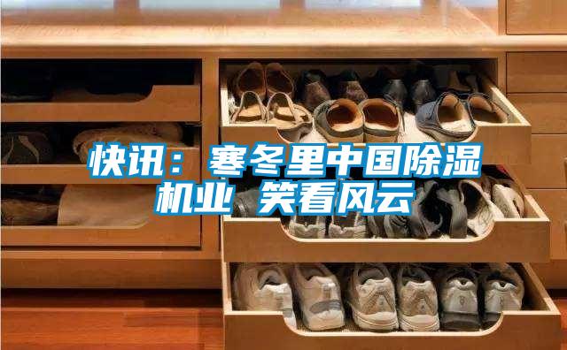 快訊：寒冬里中國除濕機業(yè) 笑看風(fēng)云