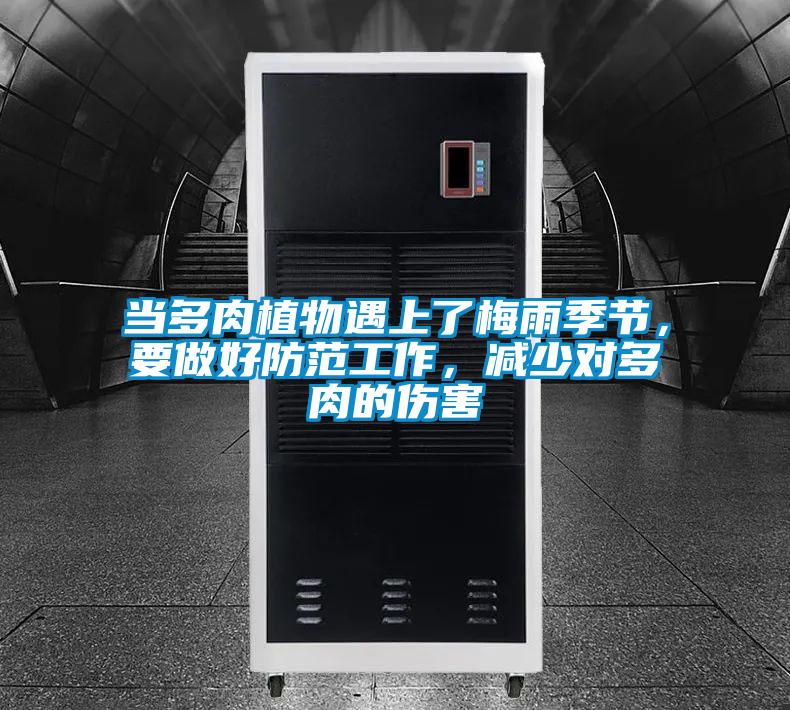 當(dāng)多肉植物遇上了梅雨季節(jié)，要做好防范工作，減少對多肉的傷害