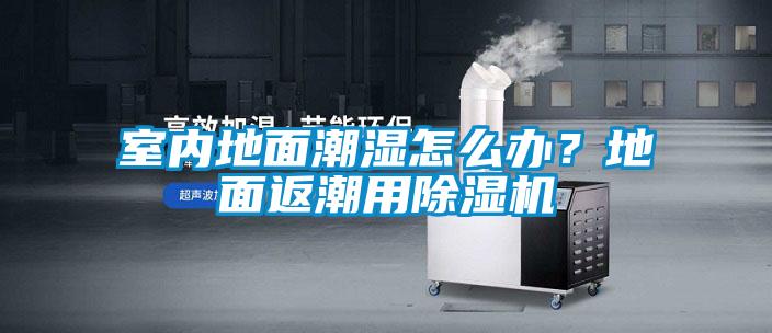 室內(nèi)地面潮濕怎么辦？地面返潮用除濕機