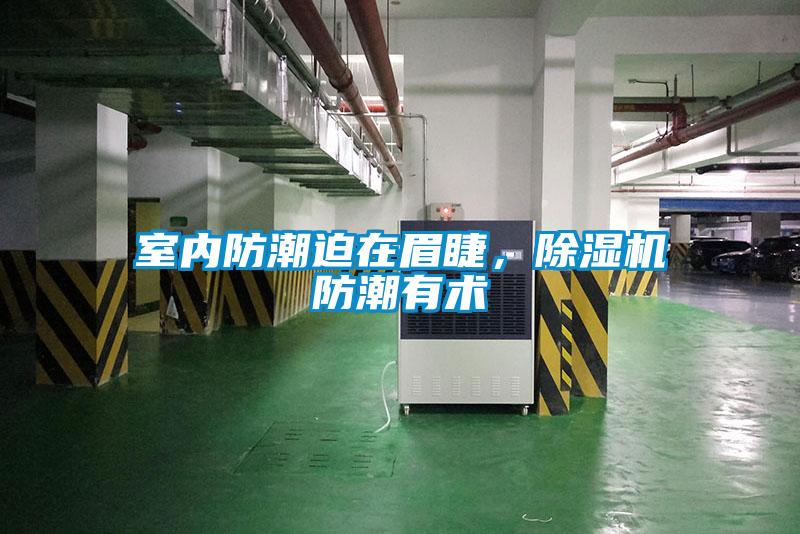 室內防潮迫在眉睫，除濕機防潮有術