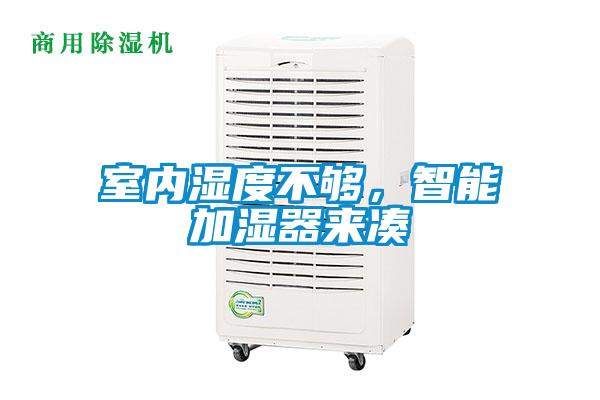 室內濕度不夠,智能加濕器來湊