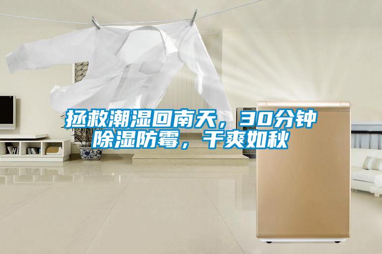 拯救潮濕回南天，30分鐘除濕防霉，干爽如秋