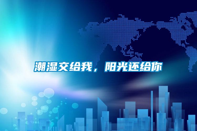 潮濕交給我，陽光還給你