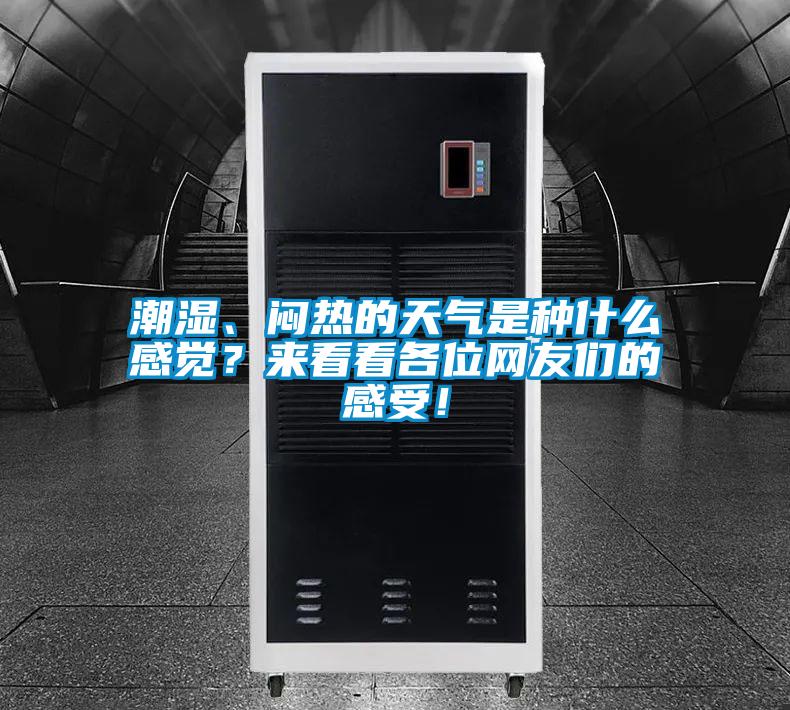 潮濕、悶熱的天氣是種什么感覺？來看看各位網友們的感受！