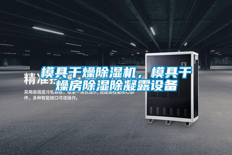 模具干燥除濕機,模具干燥房除濕除凝露設備