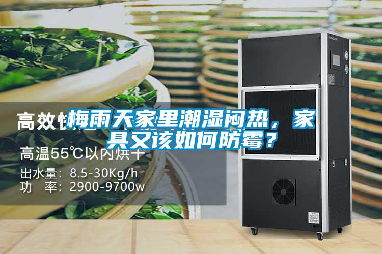 梅雨天家里潮濕悶熱，家具又該如何防霉？