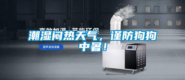 潮濕悶熱天氣，謹防狗狗中暑！