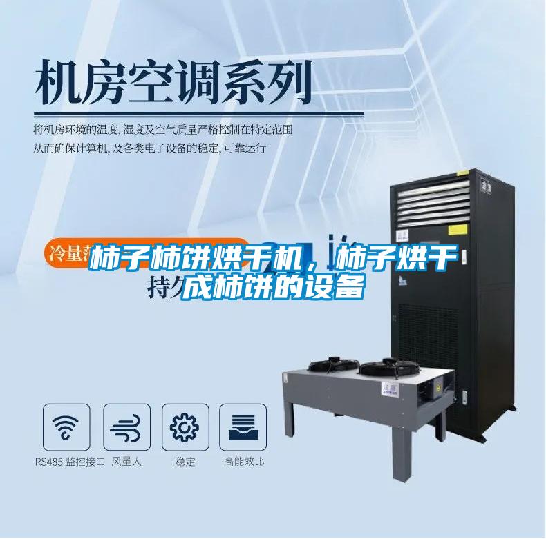 柿子柿餅烘干機，柿子烘干成柿餅的設備