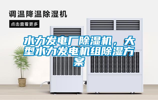 水力發(fā)電廠除濕機(jī),大型水力發(fā)電機(jī)組除濕方案