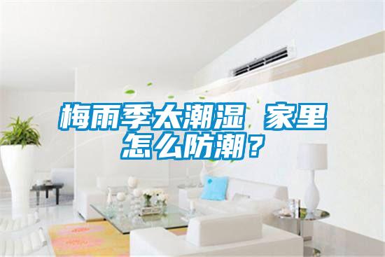 梅雨季太潮濕 家里怎么防潮？