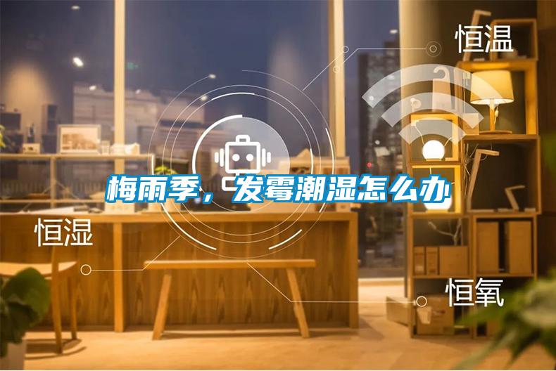 梅雨季,發霉潮濕怎么辦