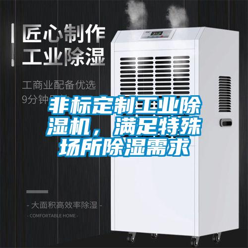 非標定制工業除濕機,滿足特殊場所除濕需求