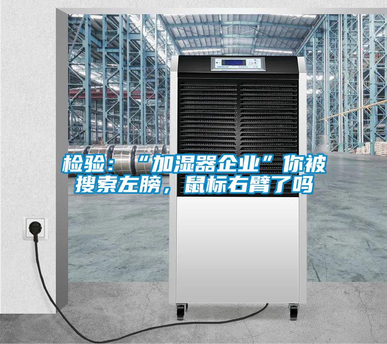 檢驗：“加濕器企業(yè)”你被搜索左膀，鼠標右臂了嗎