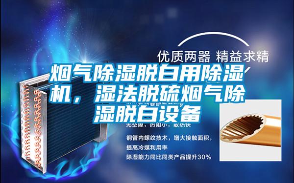 煙氣除濕脫白用除濕機,濕法脫硫煙氣除濕脫白設備