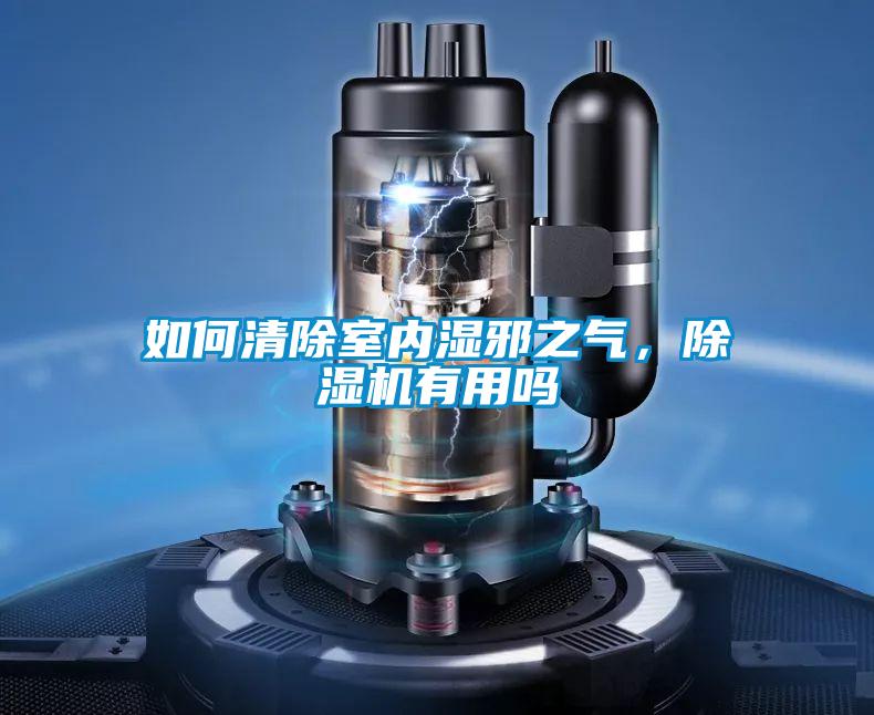 如何清除室內濕邪之氣,除濕機有用嗎
