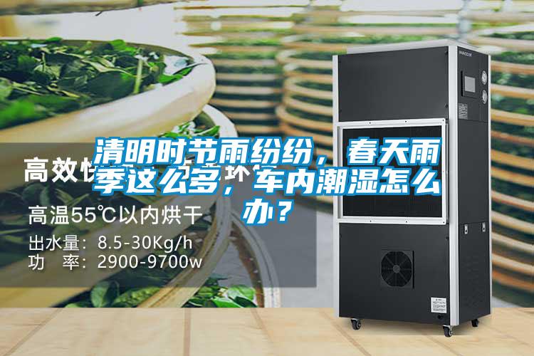 清明時節雨紛紛，春天雨季這么多，車內潮濕怎么辦？