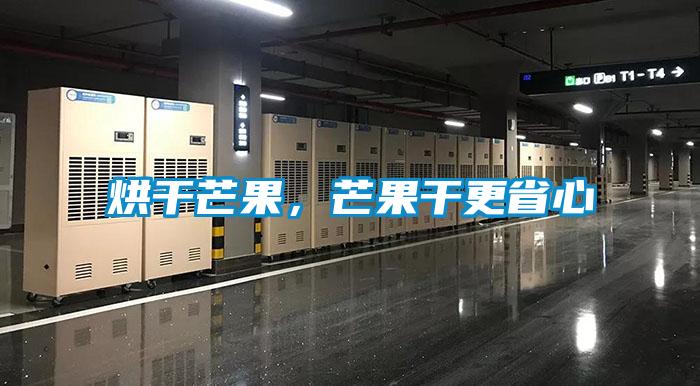 烘干芒果,芒果干更省心