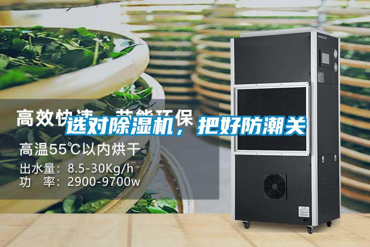 選對除濕機，把好防潮關