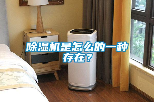 除濕機(jī)是怎么的一種存在?