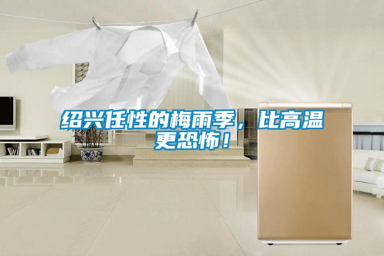 紹興任性的梅雨季，比高溫更恐怖！