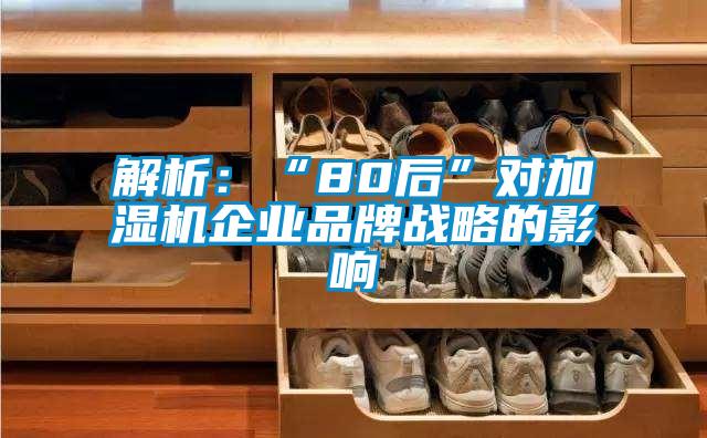 解析:“80后”對加濕機企業品牌戰略的影響