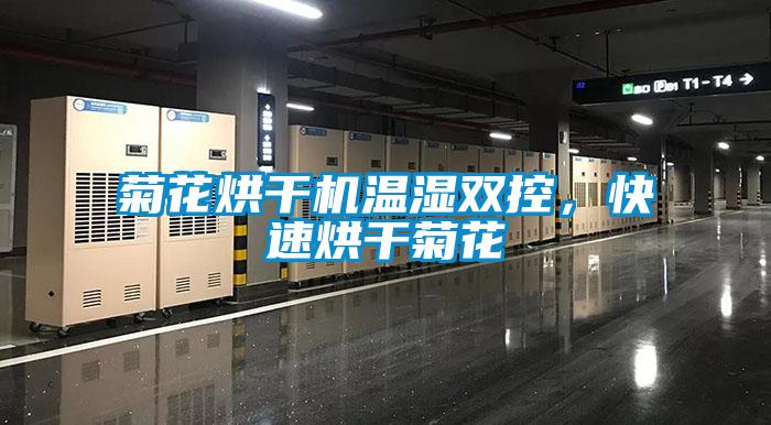 菊花烘干機(jī)溫濕雙控,快速烘干菊花