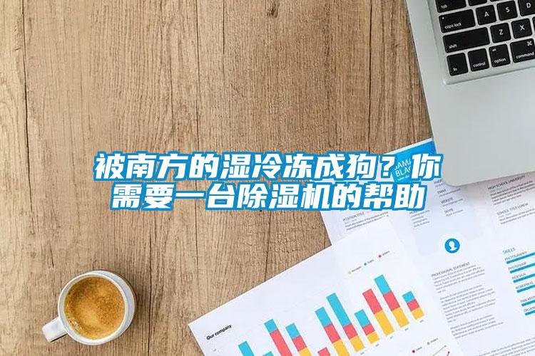 被南方的濕冷凍成狗?你需要一臺除濕機的幫助