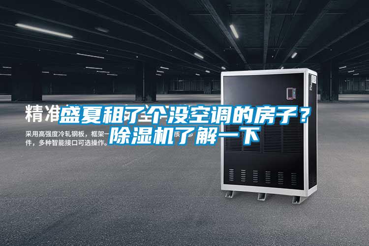 盛夏租了個沒空調的房子？除濕機了解一下