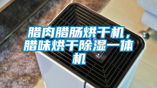 臘肉臘腸烘干機(jī),臘味烘干除濕一體機(jī)