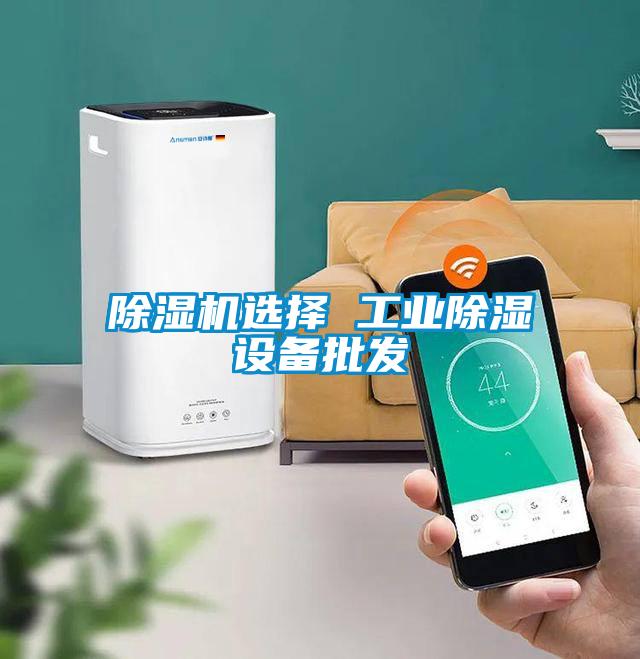 除濕機選擇 工業(yè)除濕設(shè)備批發(fā)