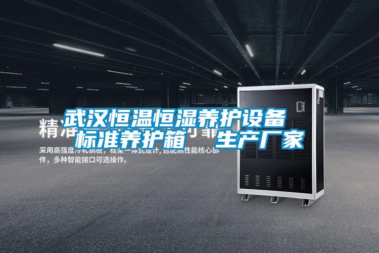 武漢恒溫恒濕養(yǎng)護(hù)設(shè)備 標(biāo)準(zhǔn)養(yǎng)護(hù)箱 生產(chǎn)廠家
