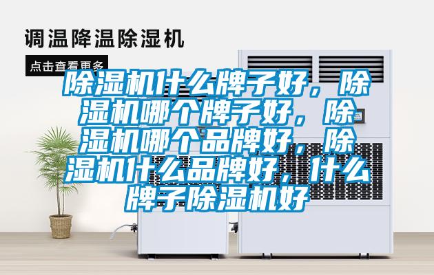 除濕機什么牌子好，除濕機哪個牌子好，除濕機哪個品牌好，除濕機什么品牌好，什么牌子除濕機好