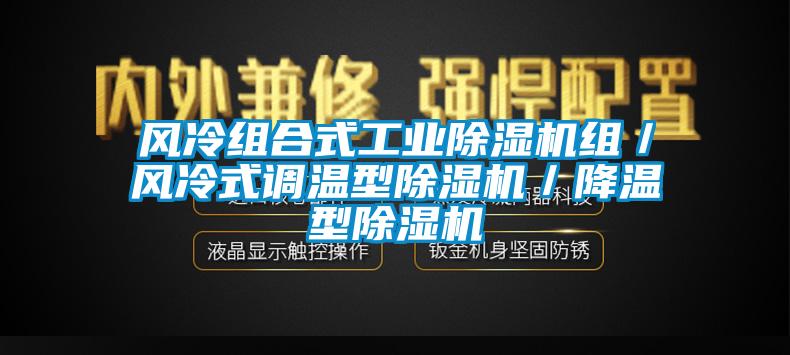 風冷組合式工業除濕機組/風冷式調溫型除濕機/降溫型除濕機