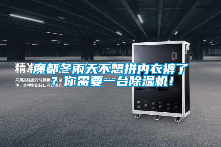 魔都冬雨天不想拼內(nèi)衣褲了？你需要一臺除濕機！