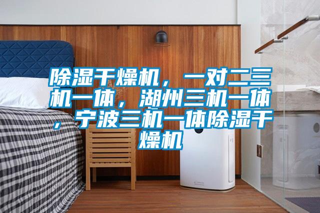 除濕干燥機(jī),一對二三機(jī)一體,湖州三機(jī)一體,寧波三機(jī)一體除濕干燥機(jī)