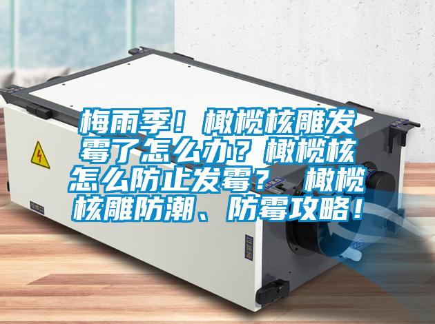 梅雨季!橄欖核雕發霉了怎么辦?橄欖核怎么防止發霉? 橄欖核雕防潮、防霉攻略!