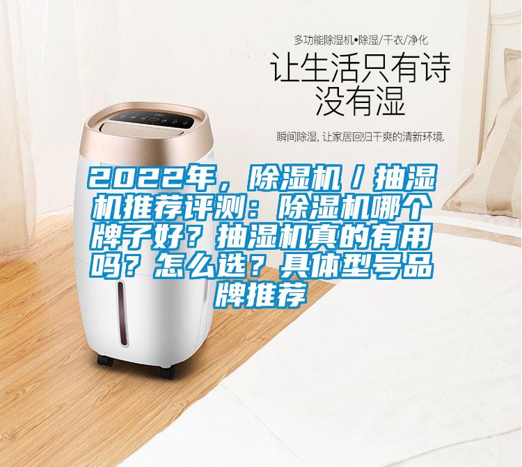 2022年,除濕機(jī)/抽濕機(jī)推薦評(píng)測(cè):除濕機(jī)哪個(gè)牌子好?抽濕機(jī)真的有用嗎?怎么選?具體型號(hào)品牌推薦